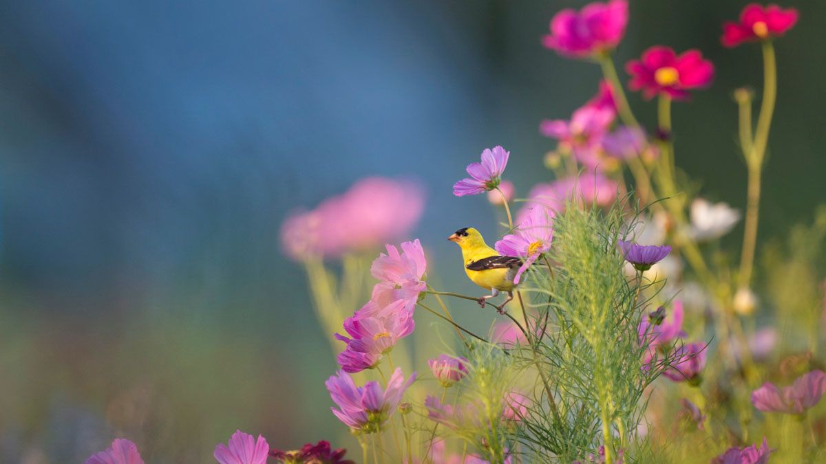 Optimize Your Morning Routine for Better Health