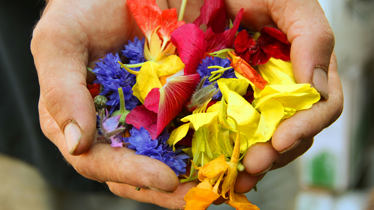 How to Break the Cycle of Mindless Eating.
