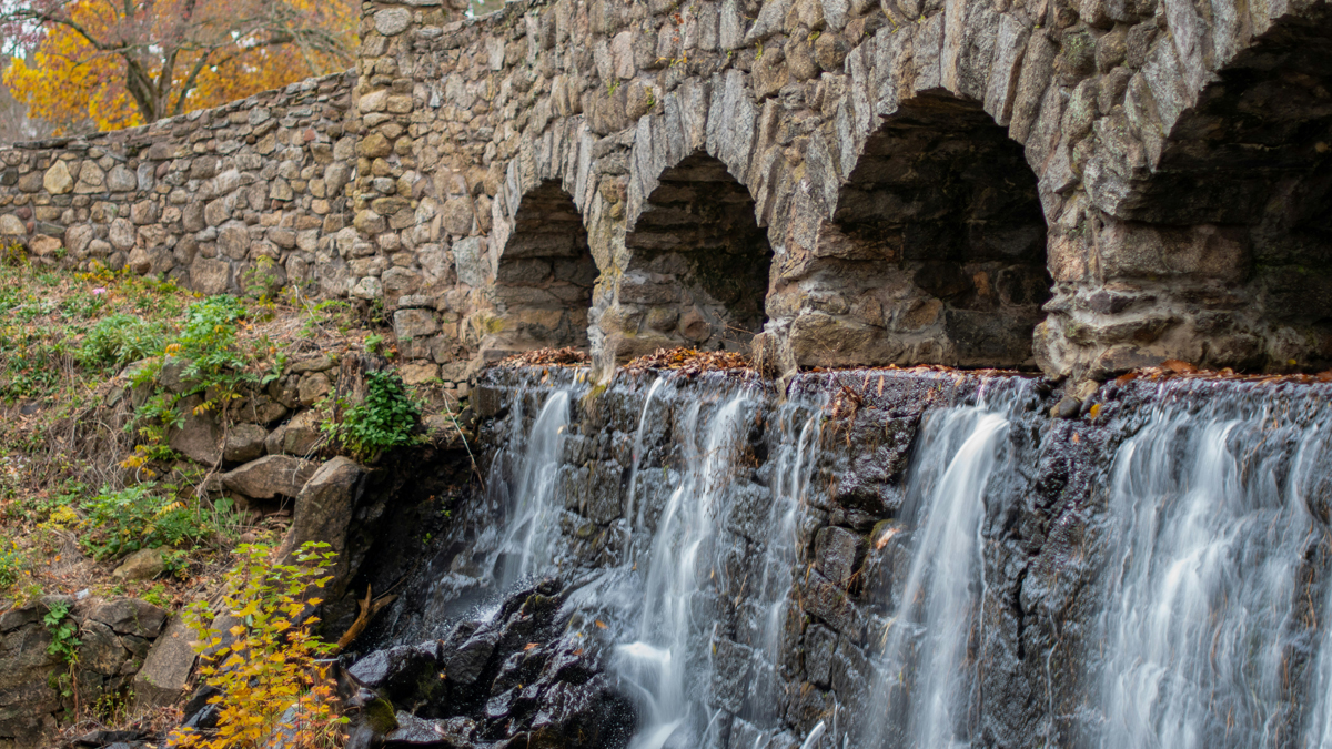 Heart Health and Menopause: The Importance of a Gradual Transition